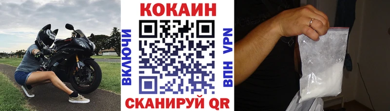 Cocaine FishScale  MEGA как войти  Курлово 