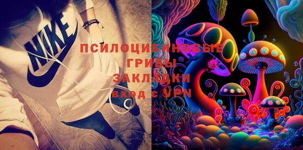 гашик Алексин