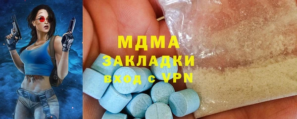 гашик Алексин