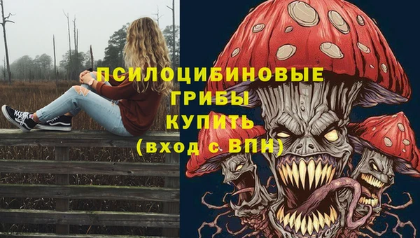таблы Алзамай