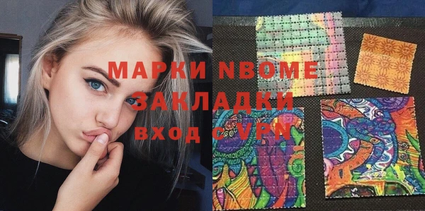 гашик Алексин