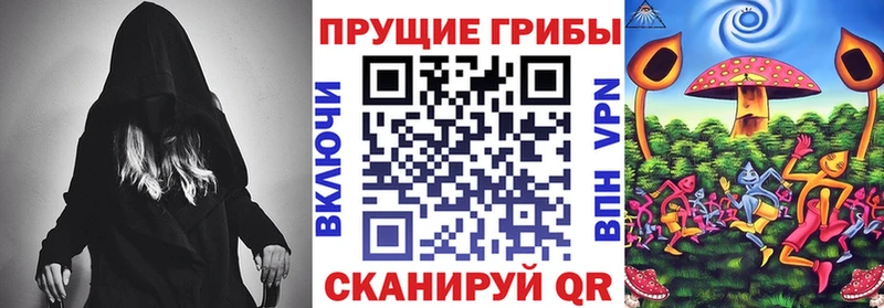 площадка клад где можно купить наркотик Курлово Псилоцибиновые грибы GOLDEN TEACHER